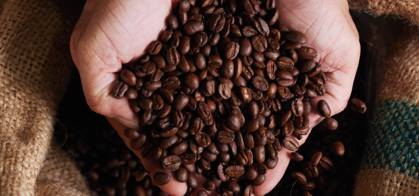 Как выбрать надежного поставщика кофе?